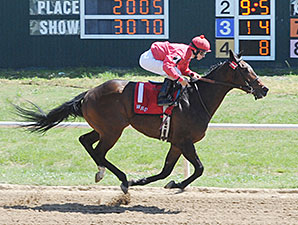 Fesstune wins the 2014 Oklahoma Stallion Colts & Geldings Division.
