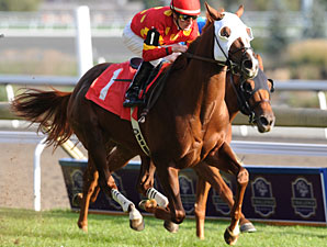 Field Commission wins the 2009 Neartic.