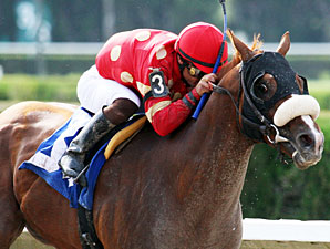 Field Commission wins 2012 Ponche Handicap.