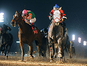 Fifty Acres wins the 2014 LA-Bred Premier Night Ragin Cajun Starter.