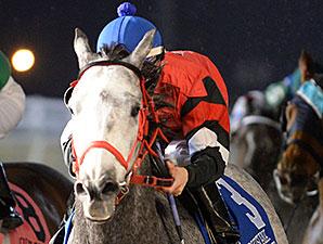 Fifty Acres wins the 2014 LA-Bred Premier Night Ragin Cajun Starter.