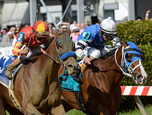 Fiftyshadesofhay (left) wins the 2013 Black-Eyed Susan.