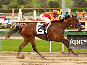 Fiftyshadesofhay wins the 2013 Santa Ysabel.