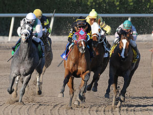 Final Mesa wins the 2011 Old Hat Stakes.