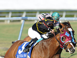 Final Mesa wins the 2011 Old Hat Stakes.