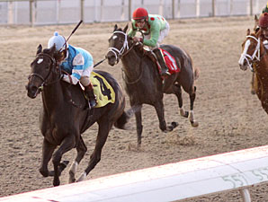 Finding More wins the Letellier Memorial Overnight Stakes.