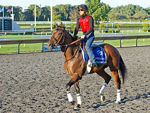 Finnegans Wake - Arlington Park, August 17, 2012.