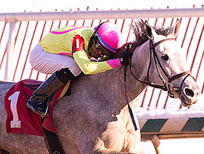 Firenze Feeling wins the 2014 Nellie Morse Stakes.
