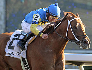 Five Star Fun, Allowance win, Keeneland, Oct 16, 2011.