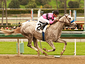 Flashback wins the 2013 Robert B. Lewis Stakes.