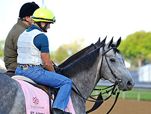 Flashy Gray - Churchill Downs, April 26, 2013.
