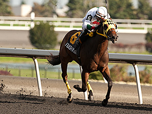Flashy Margarita wins the Bull Page Stakes.
