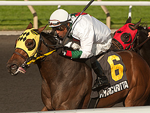 Flashy Margaritta wins the Bull Page Stakes.