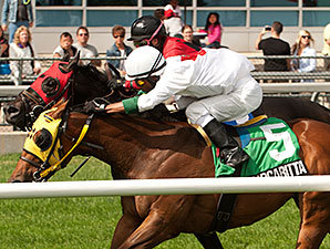 Flashy Margaritta wins the 2014 Bold Ruckus Stakes.