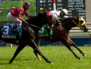 Flashy Margaritta wins the 2014 Bold Ruckus Stakes.