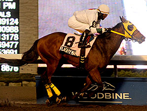 Flashy Margaritta wins the 2013 Frost King Stakes.