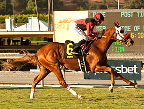 Flashy Ways wins the Surfer Girl Stakes.
