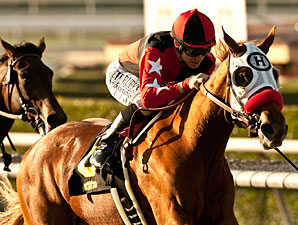 Flashy Ways wins the Surfer Girl Stakes.