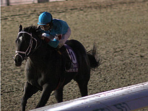 Flashy Wise Cat with Shane Sellers aboard wins the LA Champions Day Sprint under the lights at Fair Grounds.