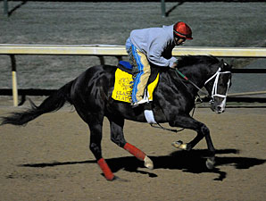 Flat Out, Churchill Downs October 29, 2011.