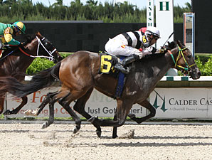 Flat Out Charming wins the 2013 Lindsay Frolic Stakes.