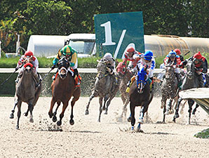 Flat Out Charming wins the 2013 Lindsay Frolic Stakes.