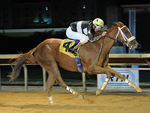 Flattering Bea wins the 2012 Miss Shenandoah Stakes.