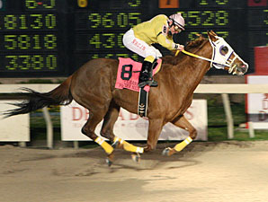 Flawless Gold wins the 2010 Premier Night Matron.