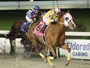 Flawless Gold wins the 2010 Premier Night Matron.