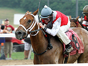 Flip Daddy wins the Hoover Stakes.