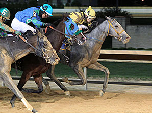 Flirting Song wins the 2014 West Virginia Breeders Classic Distaff.