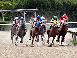 Florida Sun wins the 2014 Leave Me Alone Stakes.