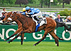 Flotilla<br><a target='blank' href='http://photos.bloodhorse.com/AtTheRaces-1/at-the-races-2013/27257665_QgCqdh#!i=2507939190&k=Mbs3Fg2'>Order This Photo</a>