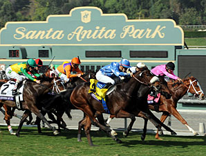 Flotilla wins the 2012 Juvenile Fillies Turf.