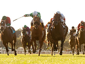 Fluke wins the 2011 Frank E. Kilroe Mile.