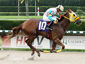Flutterby wins the 2013 Cut The Charm Stakes.