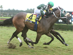 Fly By Phil wins the 2010 Tropical Park Derby.