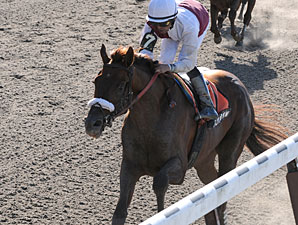 Fly Down wins the 2010 Dwyer.