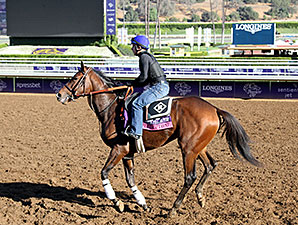 Flying Tipat - Breeders' Cup 2014