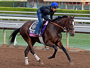Flying Tipat works towards the Breeders' Cup.