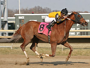 Fordangshore wins the 2012 Bensalem Stakes.