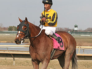 Fordangshore wins the 2012 Bensalem Stakes.