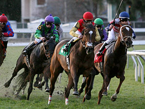 Forest Uproar wins the 2011 Marie Krantz Memorial.