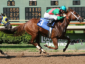 Fort Hood wins the 2010 Stardust Stakes.