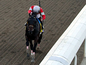 Fort Larned in the Breeders' Cup Classic.