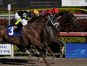 Fort Larned Maiden Win 01/08/11