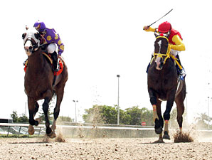 Fort Loudon wins the 2012 Carry Back.