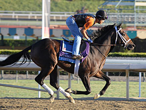 Fortify at Santa Anita 10/29/2012.