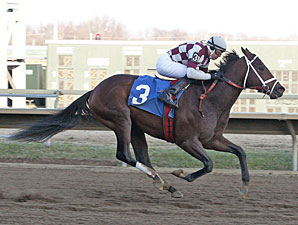 Forty Tales with John Bisono riding won the featured 7th race at Parx Racing on 1/5/13.