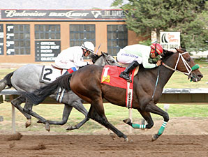 Fox in the House wins the 2012 Con Jackson Claiming Handicap.